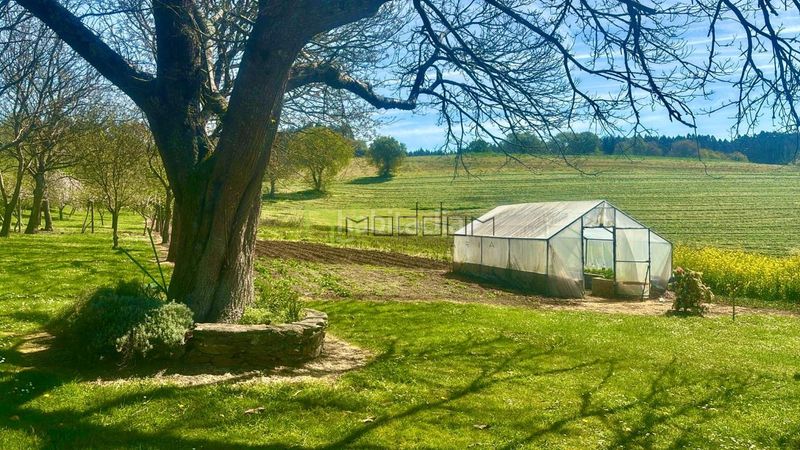 Foto b80b2e68-ec56-4d9d-b0aa-b7582d5ac221. Casa amb calefacció a Pino (O)