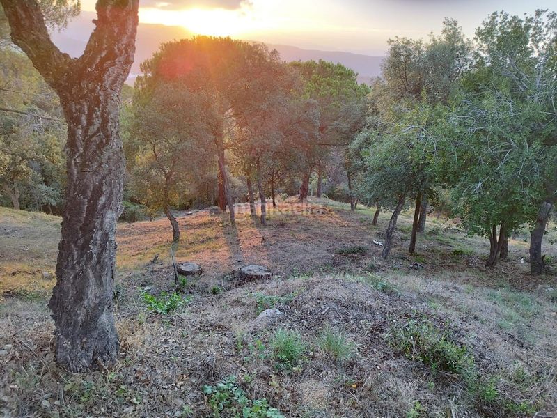 Foto 20e3727a-5ef3-4f80-8a94-1883ae2aa275. Terreny residencial a Urbanitzacions Argentona