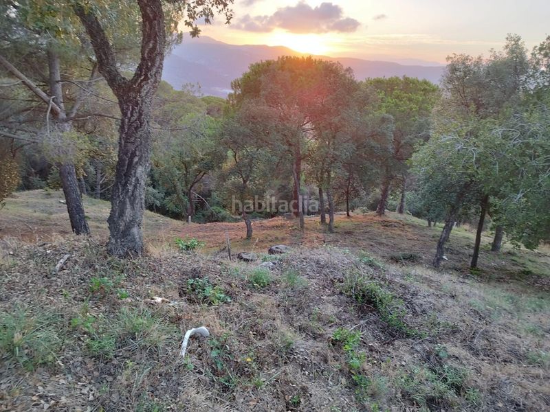 Foto 30ddb2c0-4d5e-4f30-a184-f23d49f1625d. Terreny residencial a Urbanitzacions Argentona