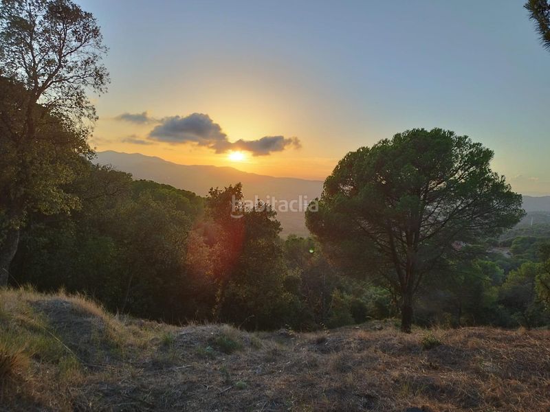 Foto 9ead5e2e-e3e9-42f1-a8c1-30a6ef895958. Terreny residencial a Urbanitzacions Argentona