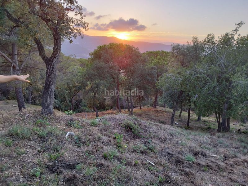 Foto a09c61af-c487-493c-86b9-f3b3c80f2f5b. Terreny residencial a Urbanitzacions Argentona