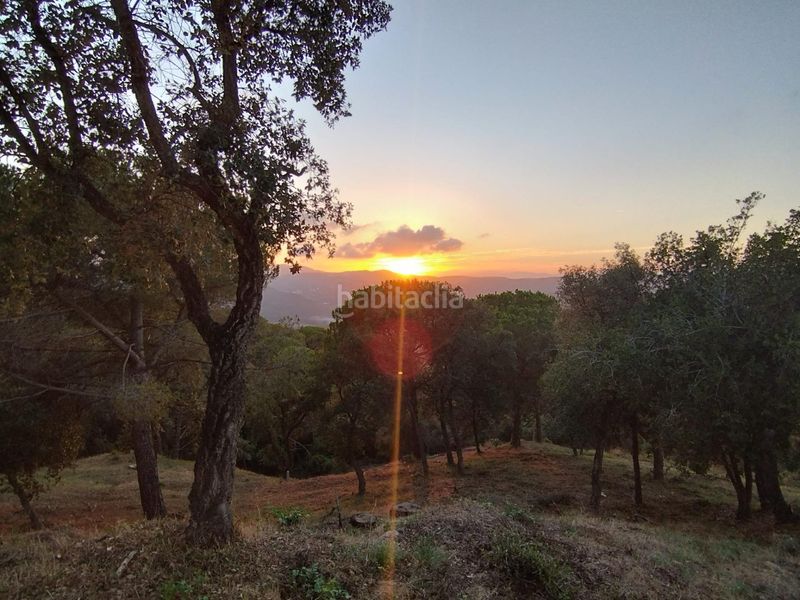 Foto fd025e0f-0ac7-4088-853f-da7b35ad9c8f. Terreny residencial a Urbanitzacions Argentona