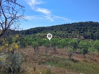Finca r�stica en Pinell de Brai (El). Gran terreno en el pinell