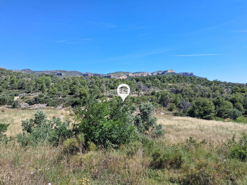 Foto 11cc0bb8-ab5f-4f47-9b5e-d02fe84c839f. Finca rústica a Pinell de Brai (El)