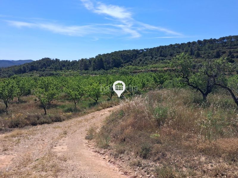Foto 4509c4df-7177-48c1-8811-e44628441e1c. Finca rústica a Pinell de Brai (El)