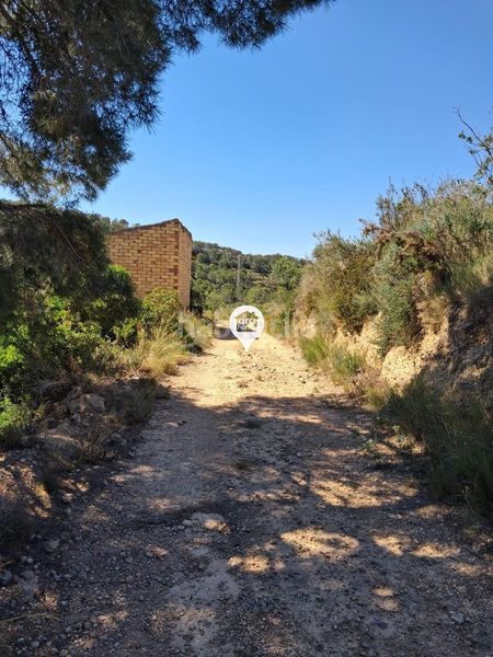 Foto 46801642-73f4-4ccd-a88e-85596c340f7e. Finca rústica a Pinell de Brai (El)