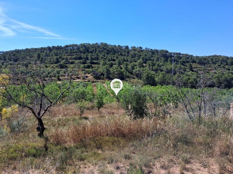 Foto 4fc748f2-c76b-4ab2-ac03-34671d9aa1da. Finca rústica a Pinell de Brai (El)