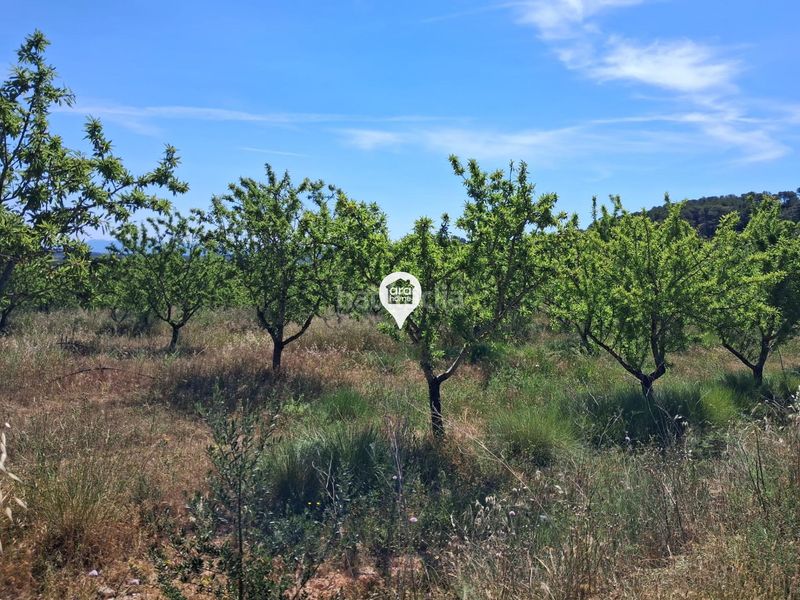 Foto 5b8ee47a-d251-465c-b64c-76e14565a5bd. Finca rústica a Pinell de Brai (El)