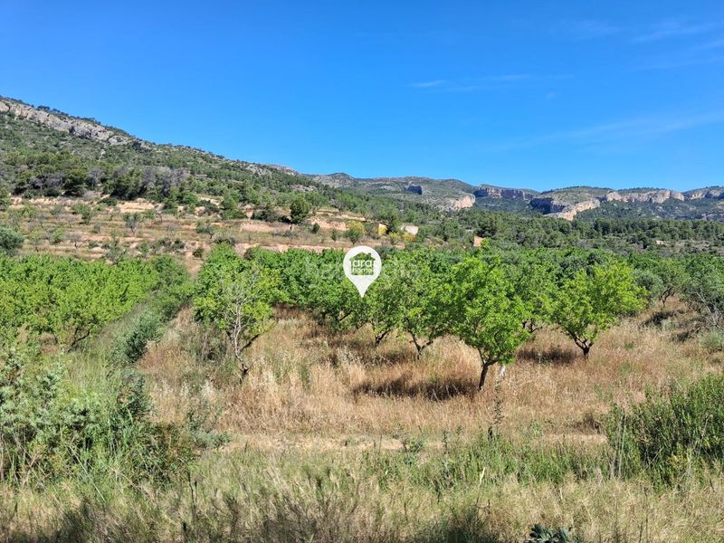 Foto 5faa586f-a19a-4d27-8b17-4c5a9615959e. Finca rústica a Pinell de Brai (El)