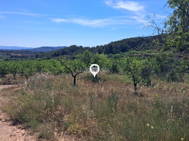 Foto 7526c965-756f-4cb5-96df-d213369b8773. Finca rústica a Pinell de Brai (El)