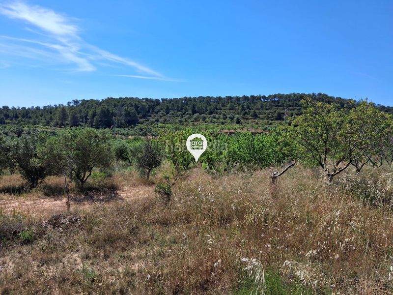 Foto 75c2e344-6077-4f2a-ae7e-bc0575d5315f. Finca rústica a Pinell de Brai (El)