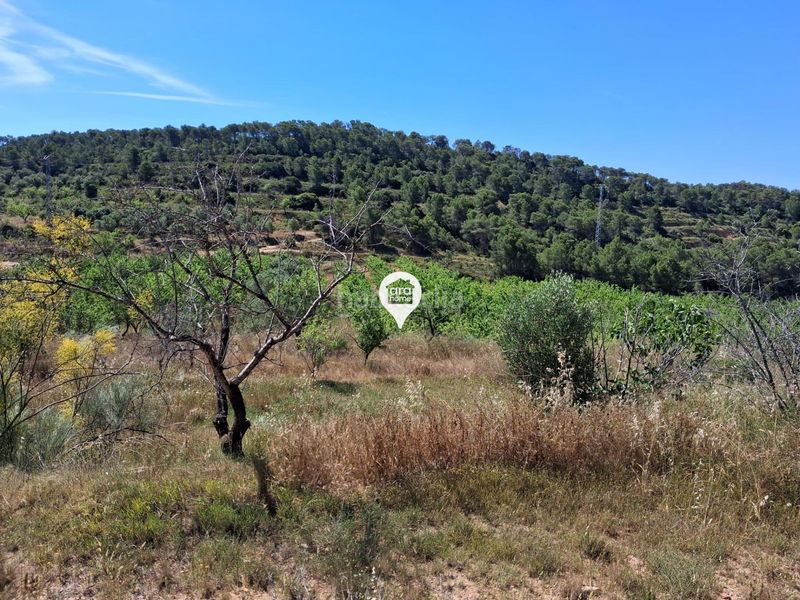 Foto 87417fb4-2a20-487e-894c-e94b3dbd7aa4. Finca rústica a Pinell de Brai (El)