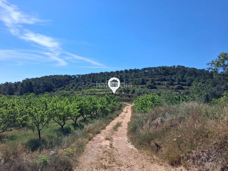 Foto 93d69c18-5411-473c-a0f7-e5c6918267f3. Finca rústica a Pinell de Brai (El)