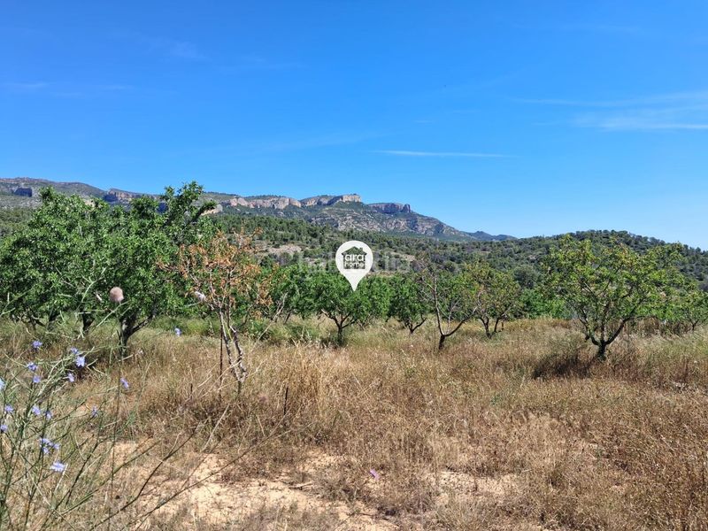 Foto 96520fd6-c3d0-4e39-b541-b5fee8e93bd2. Finca rústica a Pinell de Brai (El)