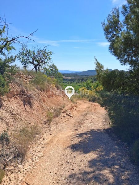 Foto ac94c490-c394-40ab-8011-7589e6ad9db3. Finca rústica a Pinell de Brai (El)