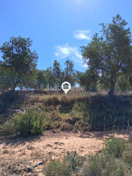 Foto b6f83884-890d-43f8-9fc2-e15e23e5e485. Finca rústica a Pinell de Brai (El)