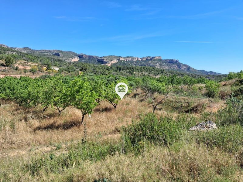 Foto c1f4c0d1-76a5-4e03-83bc-34bf88ee2d82. Finca rústica a Pinell de Brai (El)
