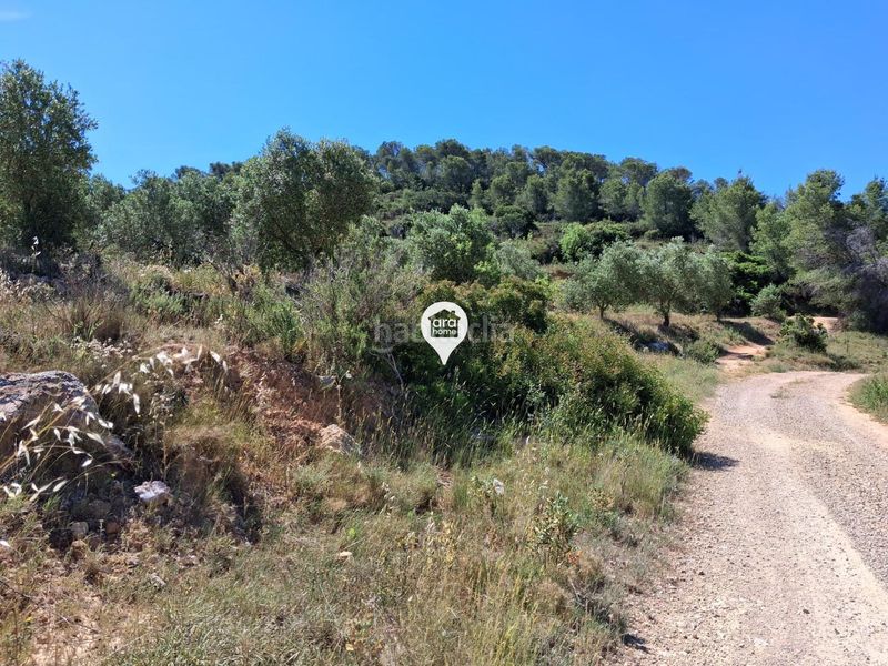 Foto d4cb6d30-74ce-438e-a57f-a9a4af02cc42. Finca rústica a Pinell de Brai (El)