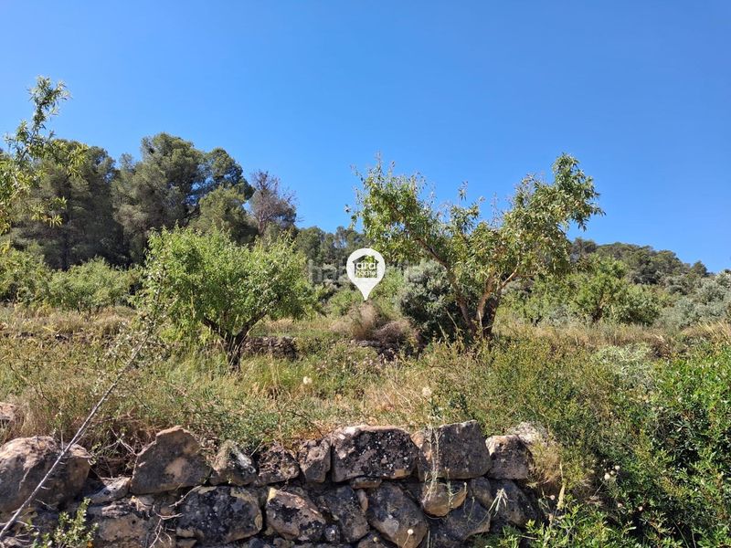 Foto ee0536fc-0f63-4247-b4eb-a067c708f843. Finca rústica a Pinell de Brai (El)