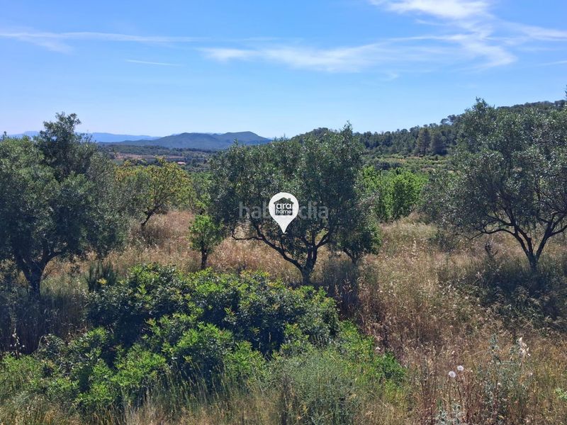Foto ef8d907d-30fc-443b-b817-33361e9987c8. Finca rústica a Pinell de Brai (El)