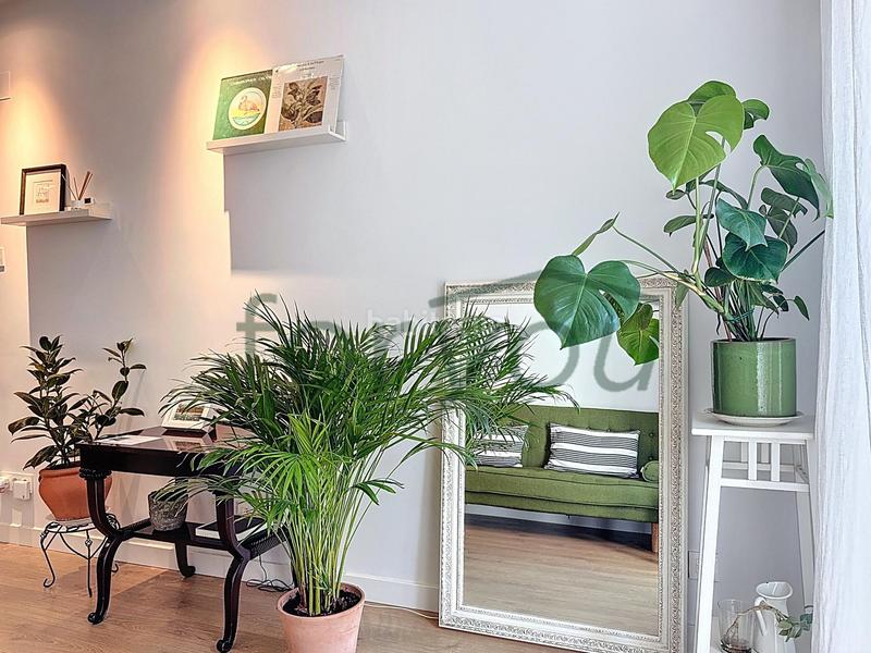 Foto d5efd520-3564-4813-8066-3b2f7bd520bf. Piso en Amara Zaharra-Arbaizenea Donostia - San Sebastián