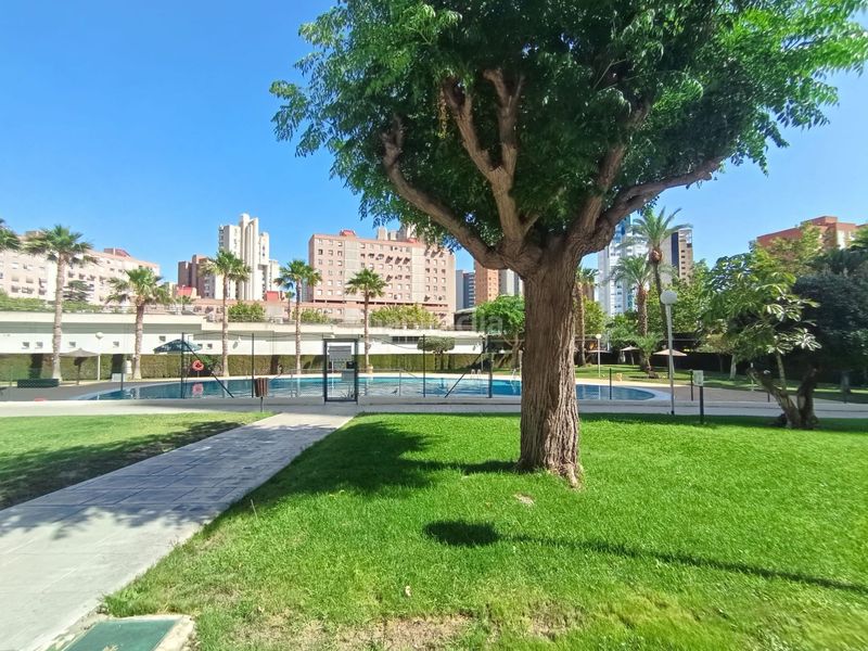 Foto b70b4783-2232-49f8-bb90-b3b6e1474287. Ático en Juzgados - Plaza de Toros Benidorm
