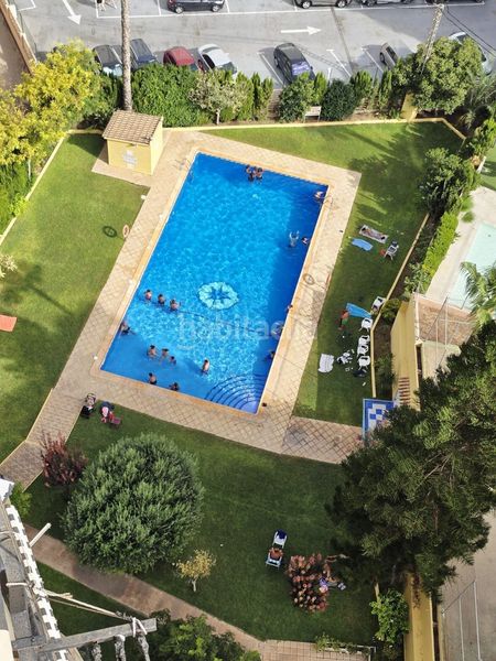Foto 623b7e5f-d0b7-413a-b800-ac23fd3be1d5. Apartament amb piscina a Juzgados - Plaza de Toros Benidorm