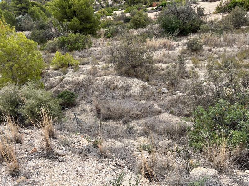 Foto f864875f-6ea1-4f0d-be19-c74d2a65e439. Terrain résidentiel dans balcón de Finestrat-terra marina Finestrat