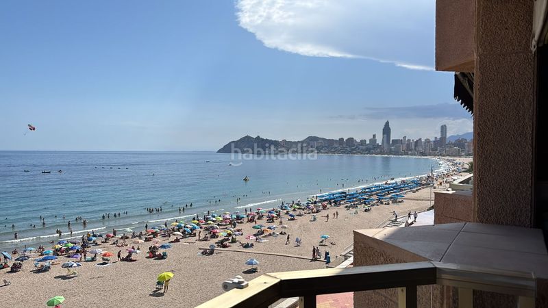 Foto 0b25f9c6-4ec8-486b-a55f-719174f39a2c. Pis a Centro Urbano Benidorm