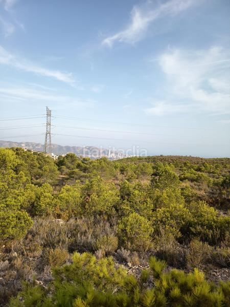 Foto 9bc499cc-9df7-4fa0-b1b2-01041b9745e3. Fondo rustico in Coloma Nucia (la)