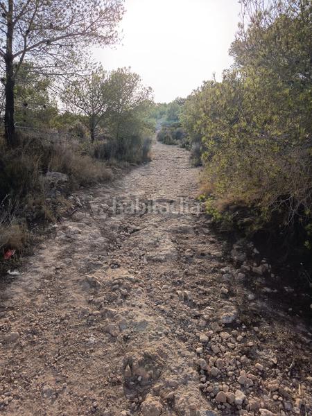 Foto 1c6fa30f-f940-40c4-9650-dec8292f8119. Rural plot in Coloma Nucia (la)