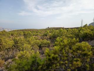 Rural plot in Coloma