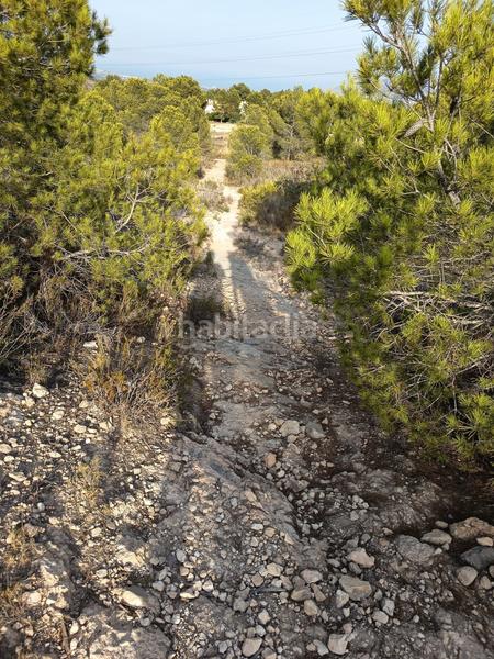 Foto aae29e69-31ef-490e-9df2-205d28a191d6. Finca rústica a Coloma Nucia (la)