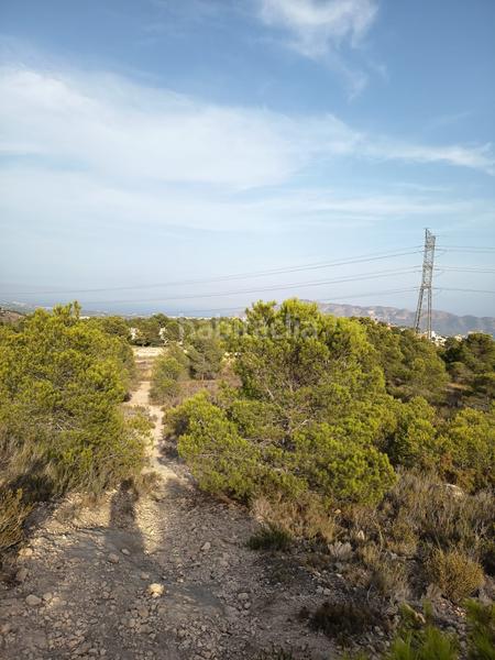 Foto 91a275f2-8753-4a89-aa29-8ee80e1e3b69. Finca rústica en Coloma Nucia (la)