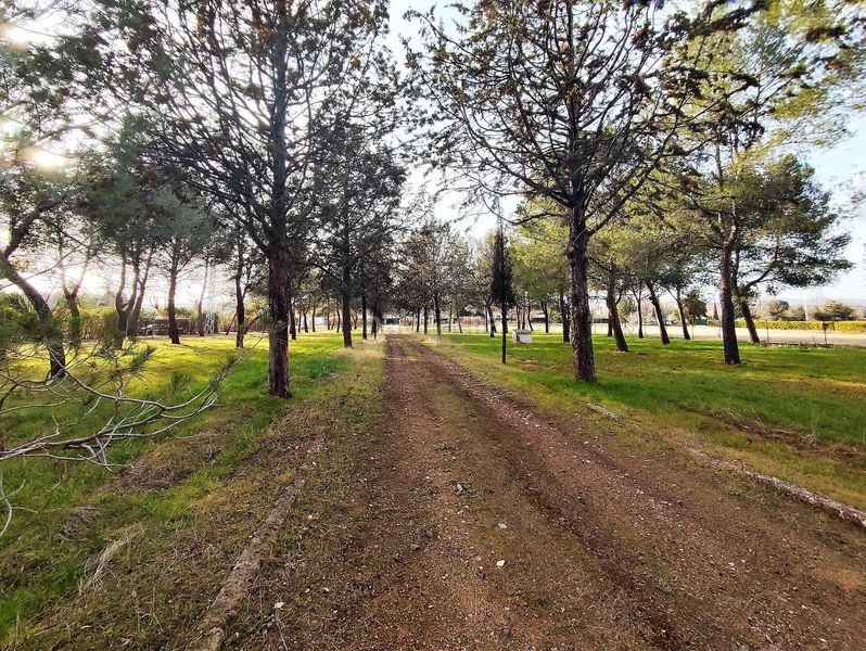 Foto a5af8b79-e5a8-49bd-97fd-ecc9e36c0fbd. Chalet mit heizung parking pool in Argamasilla de Calatrava