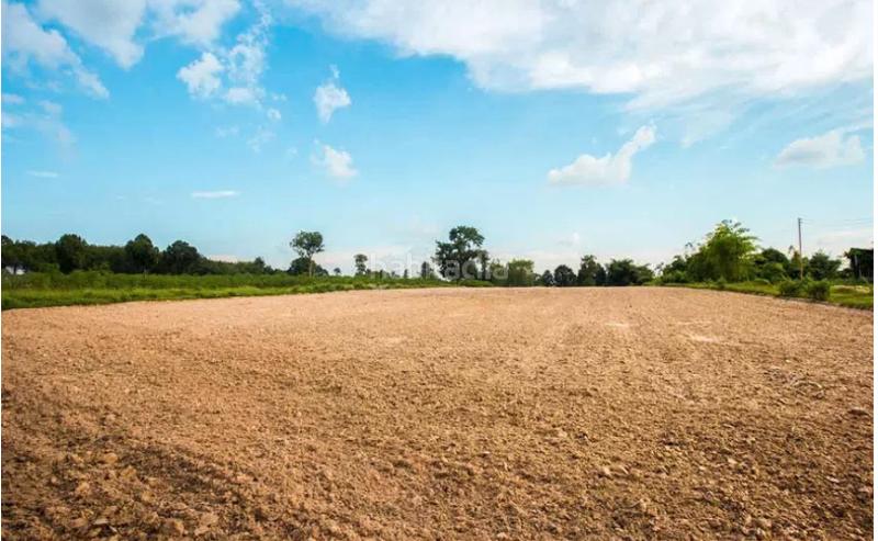 Foto eb5159a4-610c-4d7e-ac4d-8b236cfeedb2. Finca rústica a Almagro