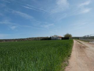 Rural plot  Travesía de san pedro