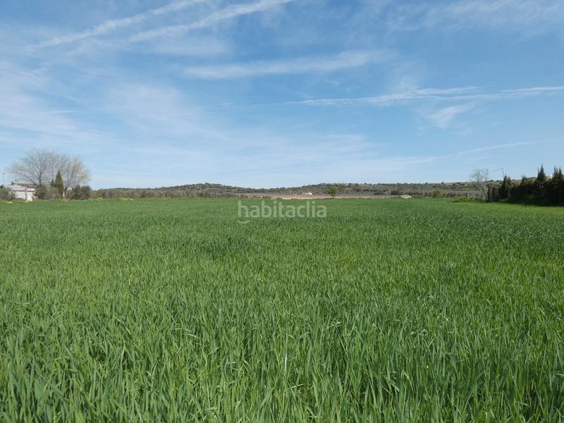 Foto 7947a9f9-5426-43f2-b772-dc543f474fd4. Finca rústica a Almagro