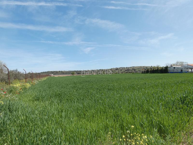 Foto 7f83798c-5563-4282-8f86-6fb0df31c808. Finca rústica a Almagro
