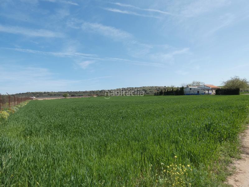 Foto b26a172b-a38d-4b23-954d-86553fa2f25b. Finca rústica a Almagro