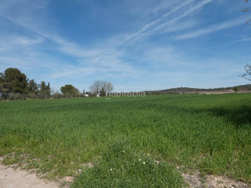 Foto bb724c2f-490e-49bf-96af-c712447b61a1. Finca rústica a Almagro