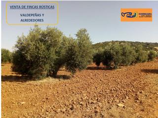 Mas à Valdepeñas. Finca rúst. en venta en centro.