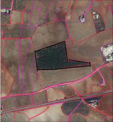Finca rústica a Valdepeñas. Finca rúst. en venta en carretera infantes.