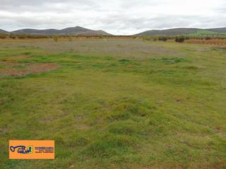 Finca rústica a San Carlos del Valle. Finca rúst. en venta en carretera.