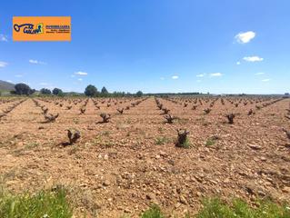 Propriété à Valdepeñas. Finca rúst. en venta en valdepeñas.