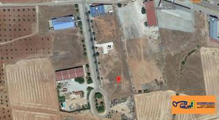 Terreny residencial a Villanueva de los Infantes. Solar en venta en villanueva de los infantes.