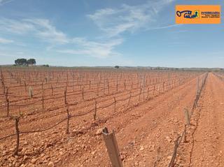 Masia a Torrenueva. Finca rúst. en venta en carretera santa cruz.