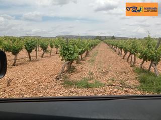 Masia a Valdepeñas. Finca rúst. en venta en carretera moral, 1 dormitorio.