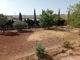Mas à Almedina. Finca rúst. en venta en almedina, 2 dormitorios.