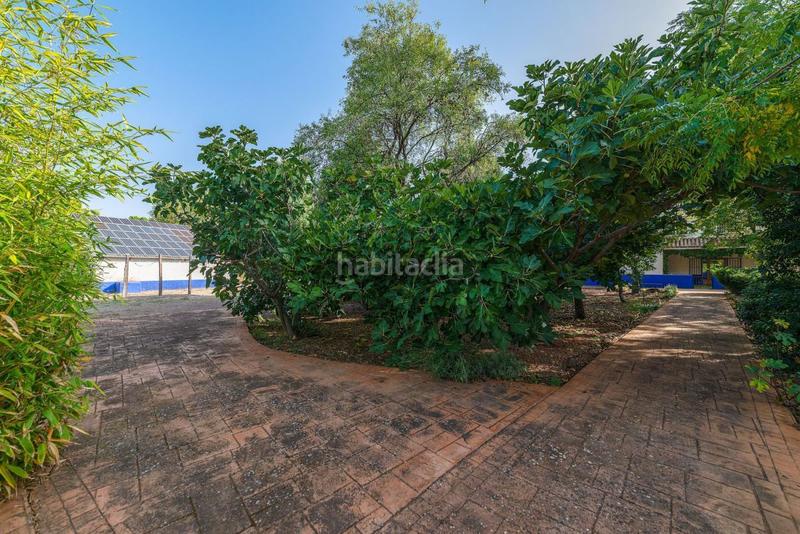 Foto 5193b8a7-aab9-46ae-96a1-aa802f5a2688. Masía casa de campo en venta , 6 dormitorios. en Torrenueva